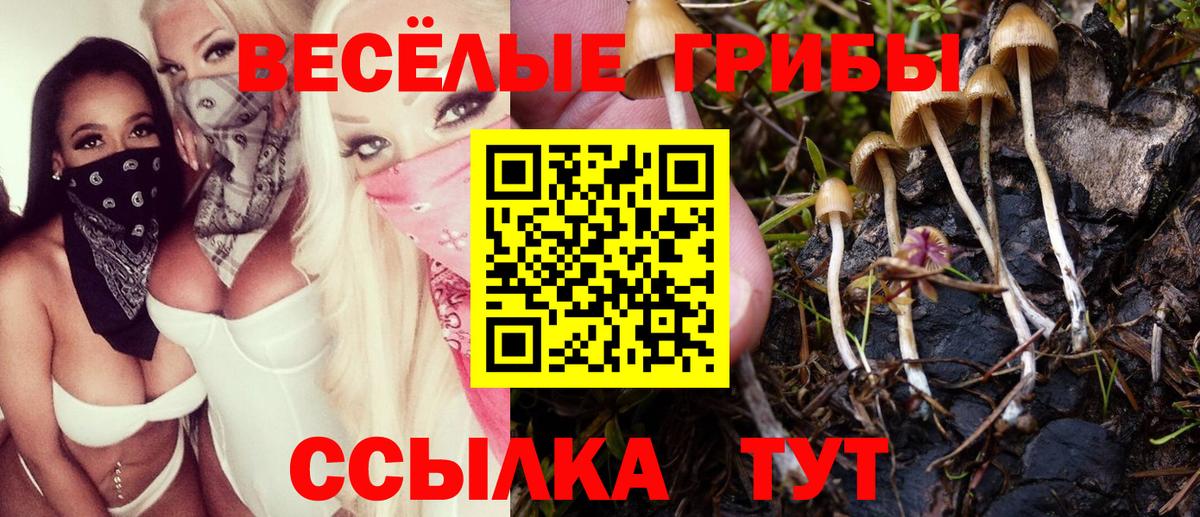 Галлюциногенные грибы мицелий Орёл