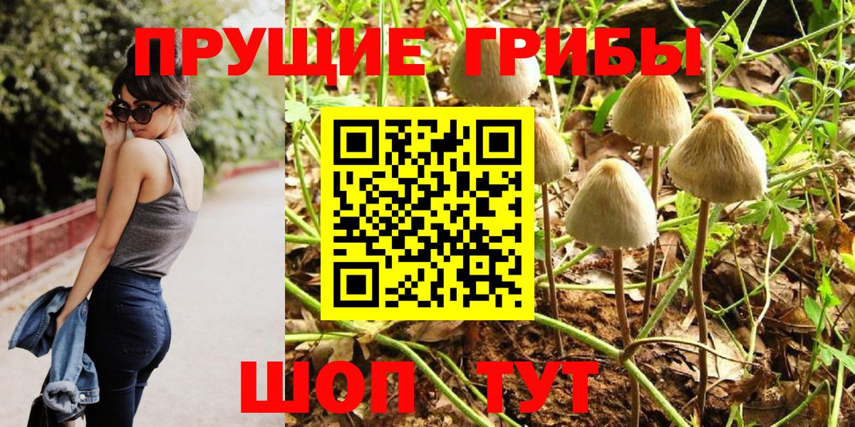 Орёл  дарнет шоп  Вход с VPN  Псилоцибиновые грибы Psilocybine cubensis 